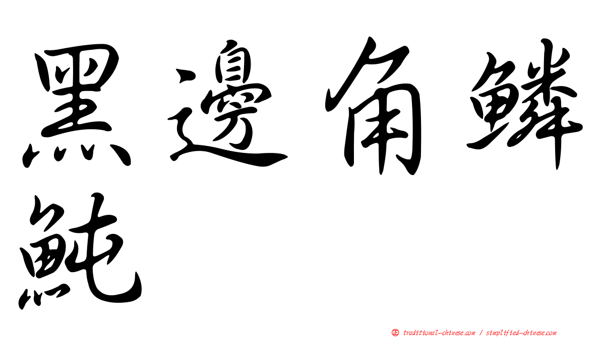 黑邊角鱗魨