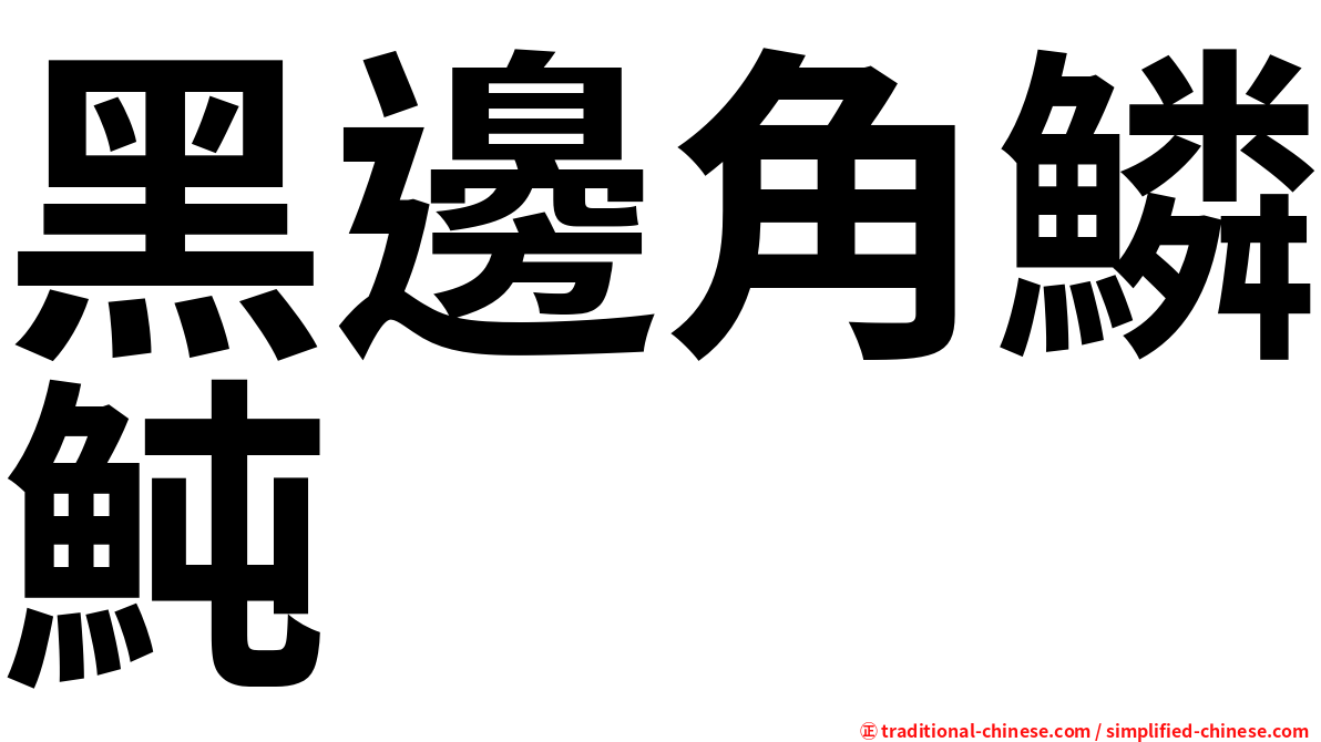 黑邊角鱗魨
