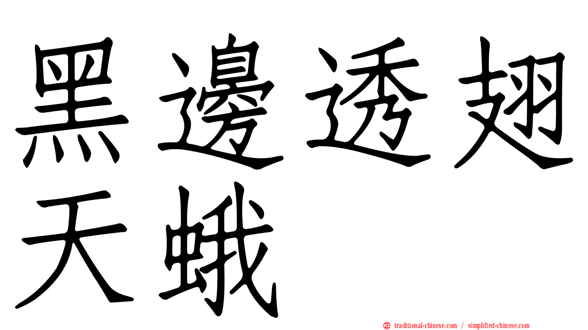 黑邊透翅天蛾