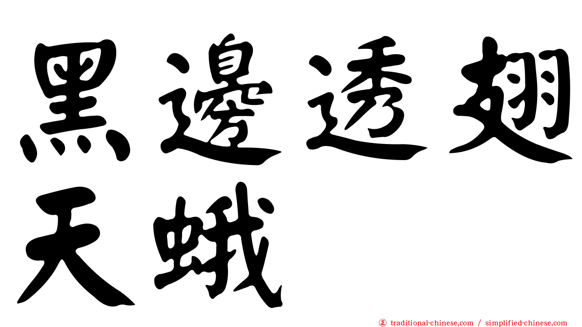 黑邊透翅天蛾