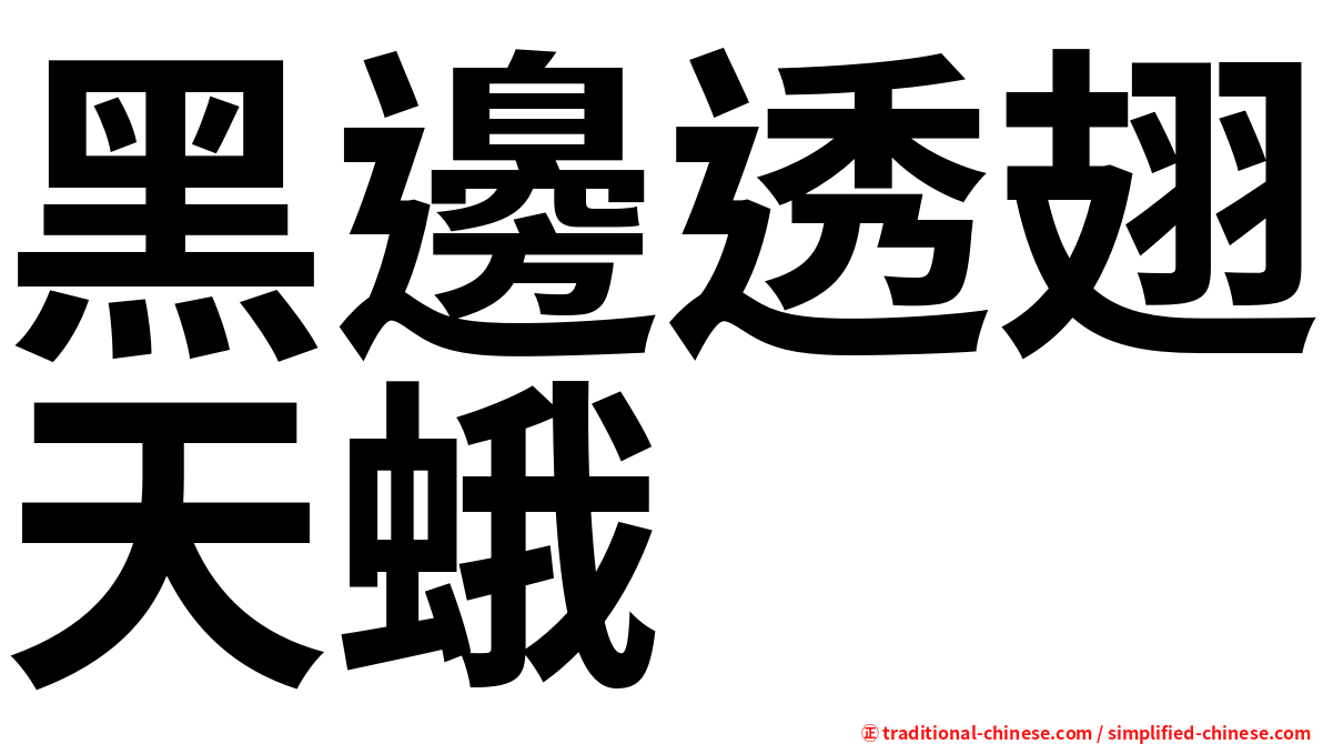 黑邊透翅天蛾