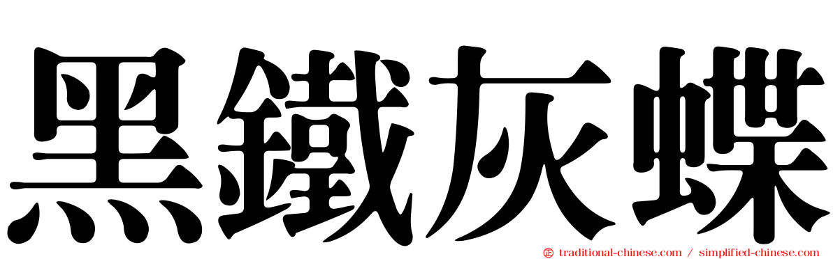 黑鐵灰蝶
