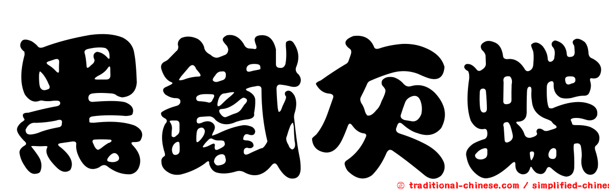 黑鐵灰蝶