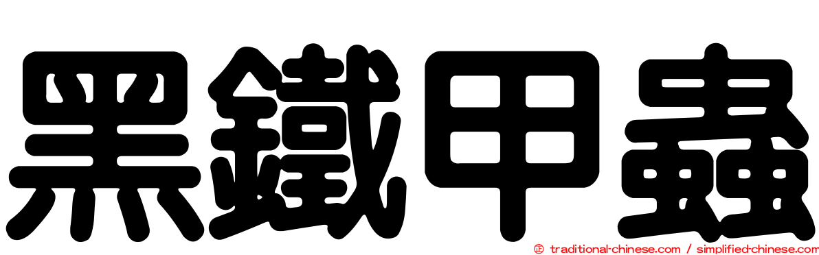 黑鐵甲蟲
