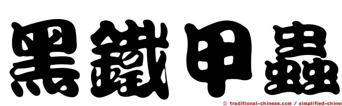 黑鐵甲蟲