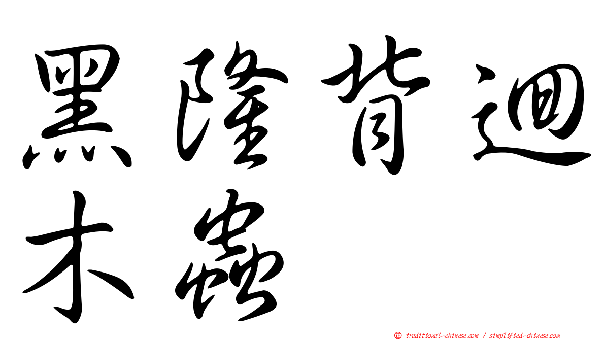 黑隆背迴木蟲