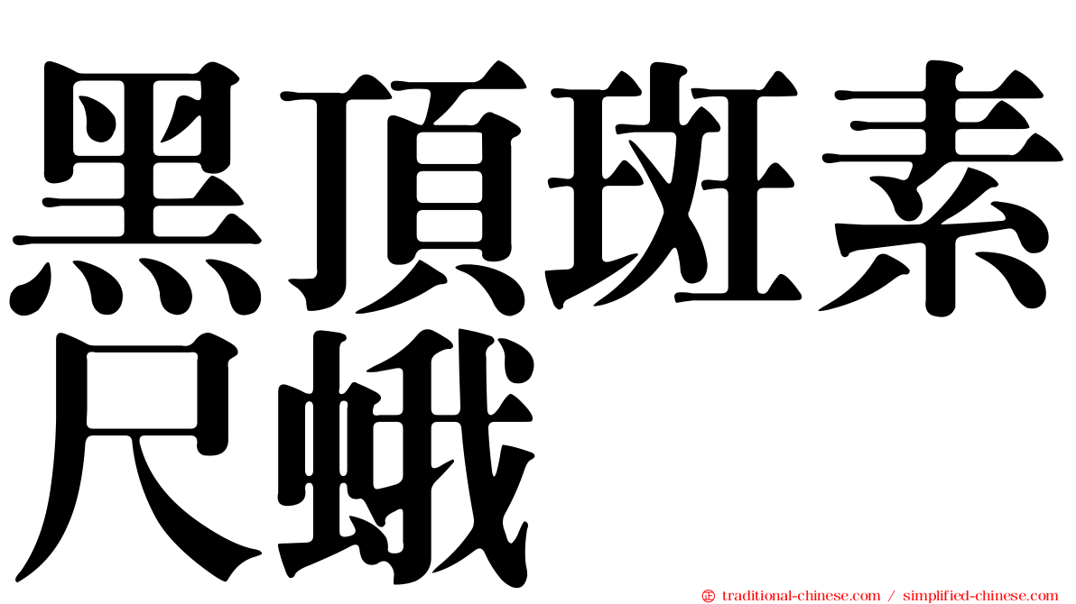黑頂斑素尺蛾