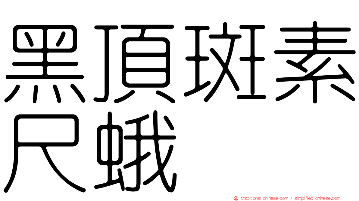 黑頂斑素尺蛾