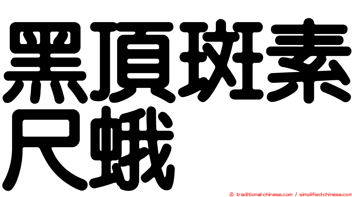 黑頂斑素尺蛾