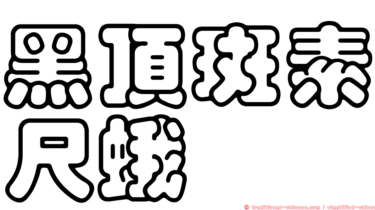 黑頂斑素尺蛾