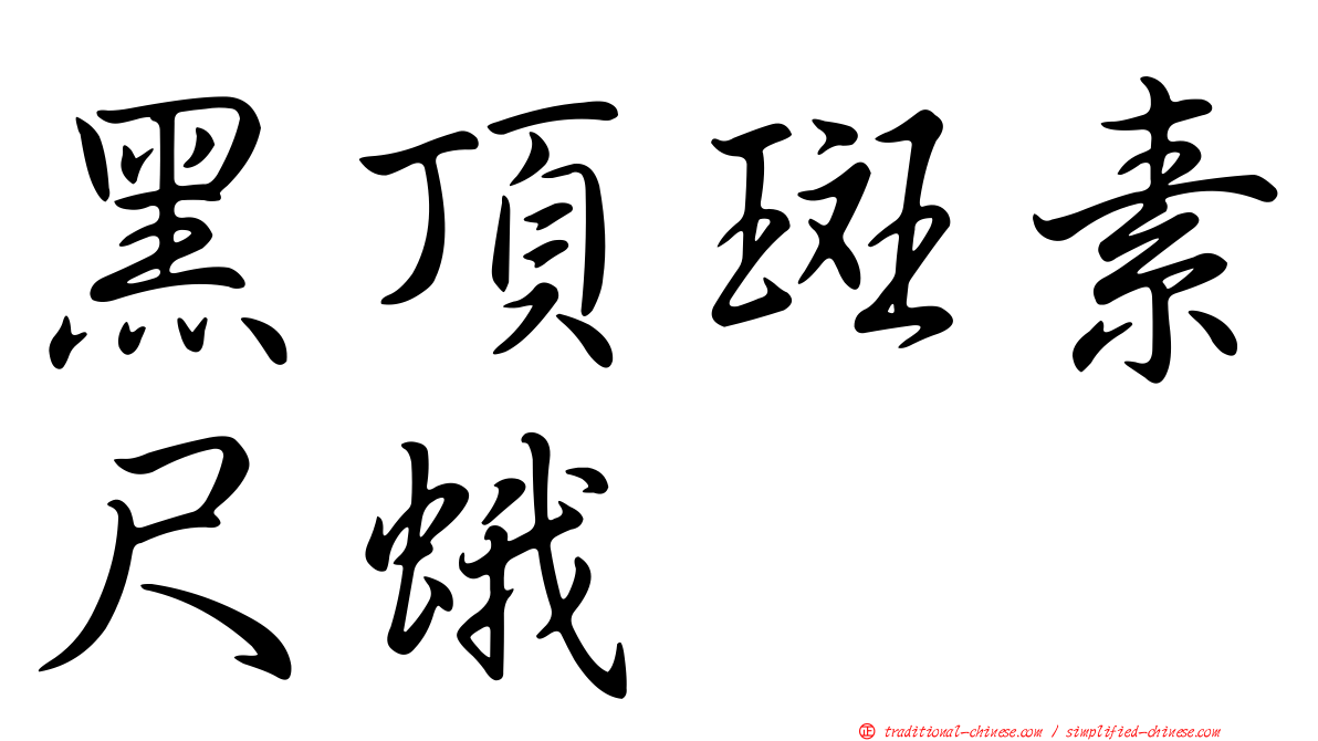 黑頂斑素尺蛾