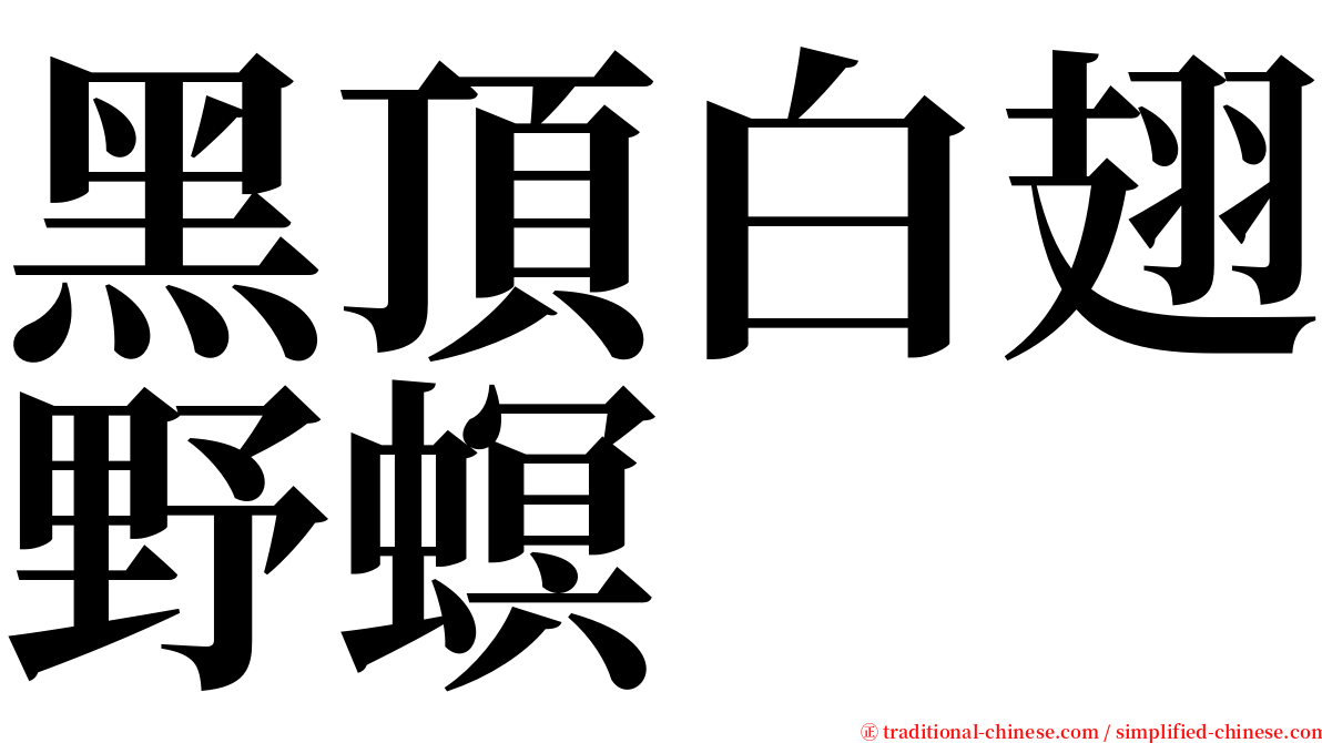 黑頂白翅野螟 serif font