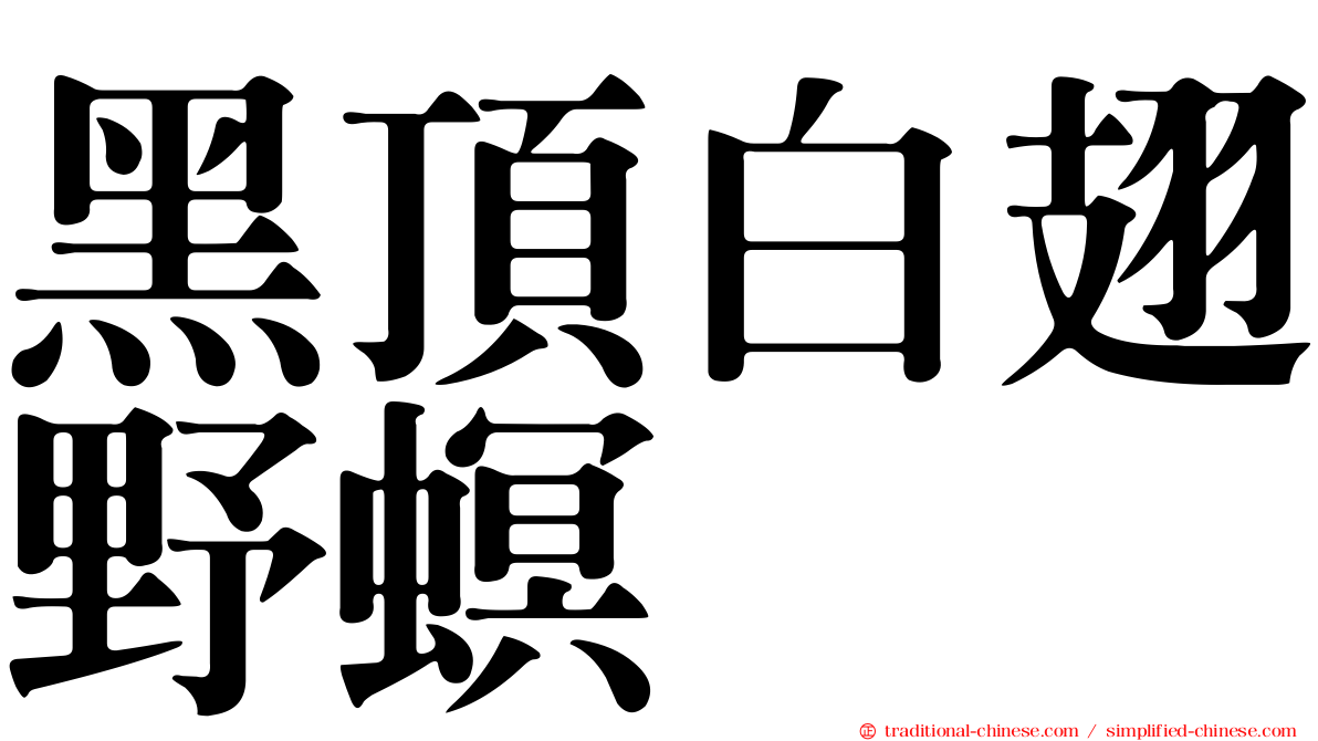 黑頂白翅野螟