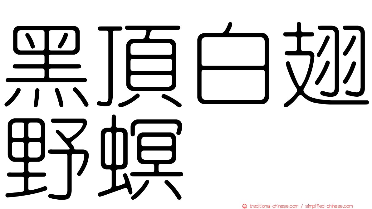 黑頂白翅野螟