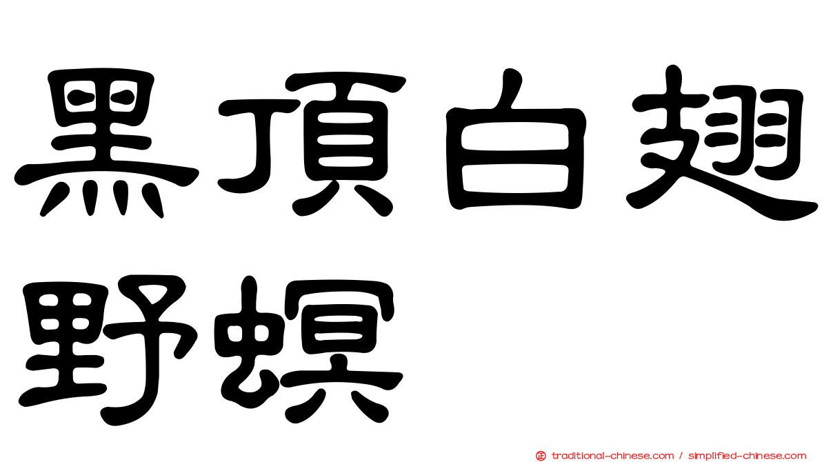 黑頂白翅野螟