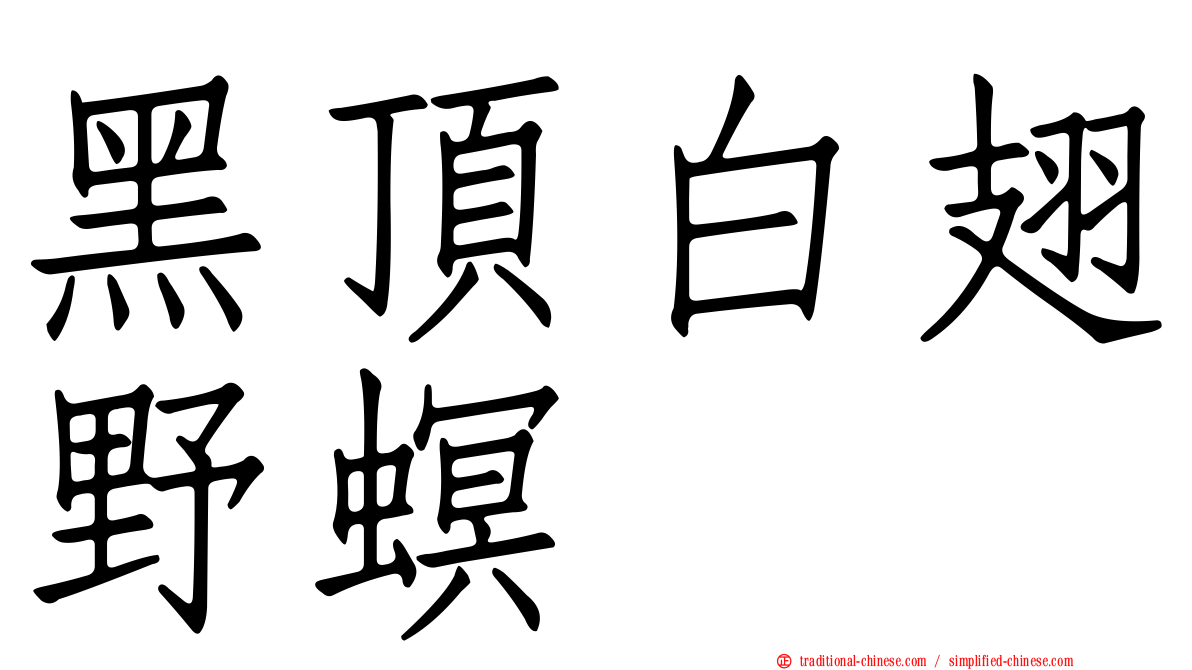 黑頂白翅野螟