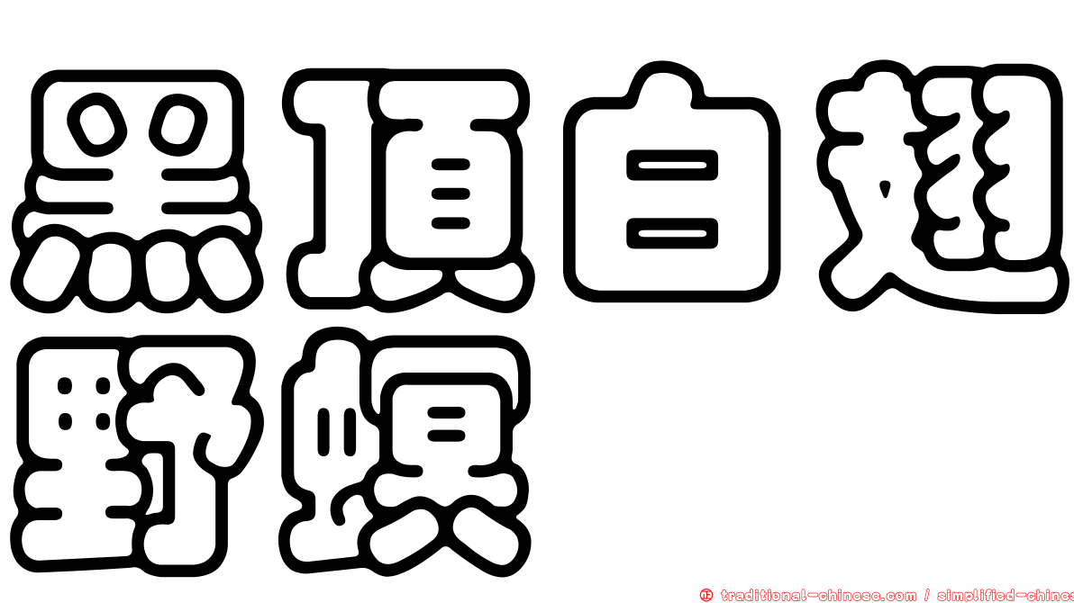 黑頂白翅野螟