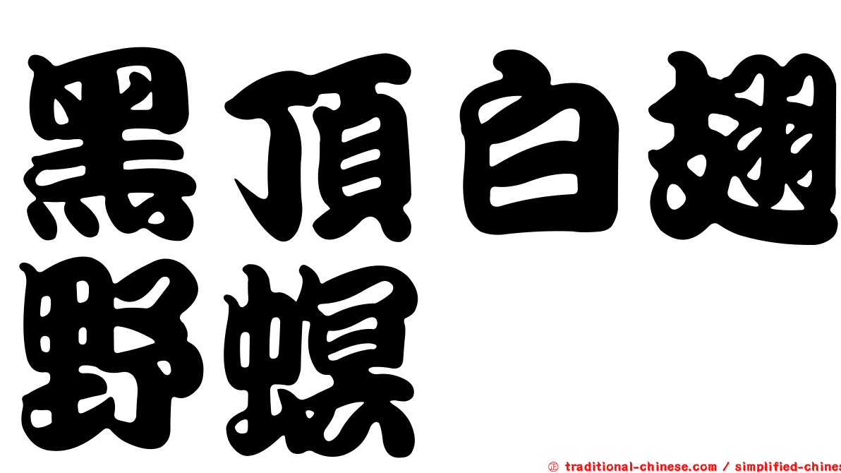 黑頂白翅野螟