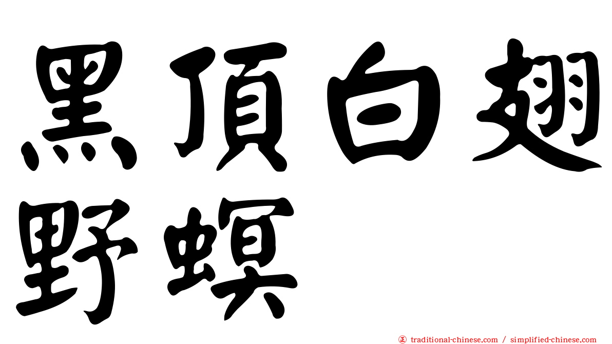 黑頂白翅野螟