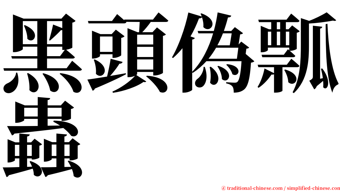 黑頭偽瓢蟲 serif font