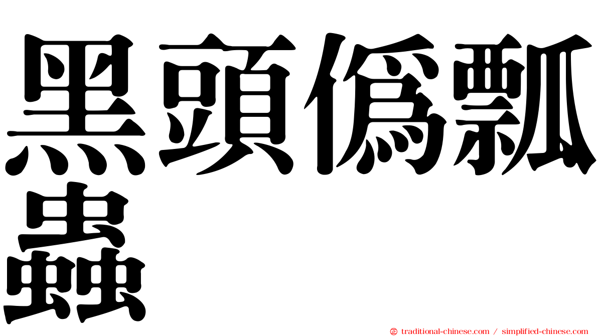 黑頭偽瓢蟲