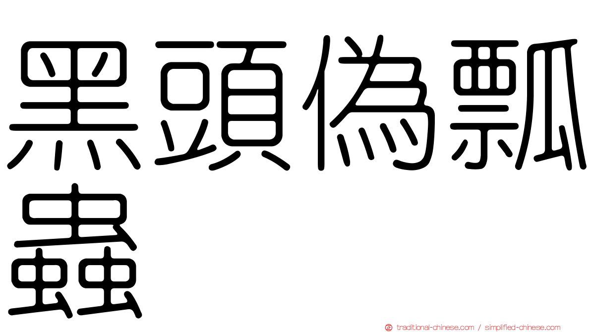 黑頭偽瓢蟲