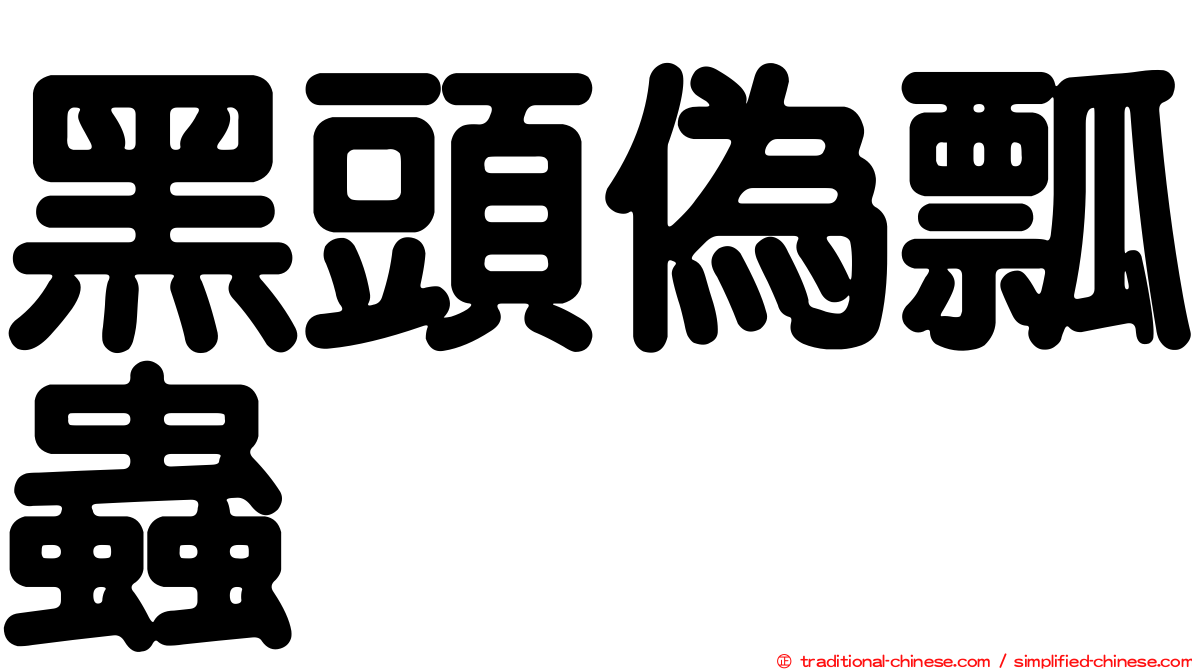 黑頭偽瓢蟲