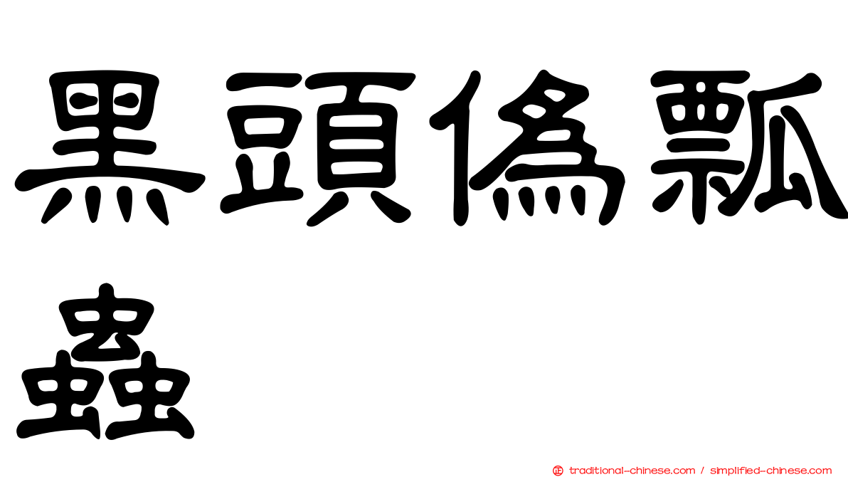 黑頭偽瓢蟲