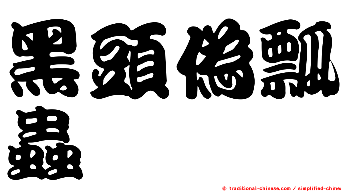 黑頭偽瓢蟲