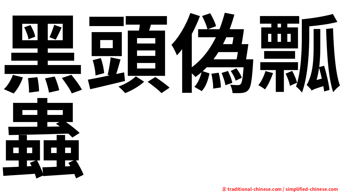 黑頭偽瓢蟲
