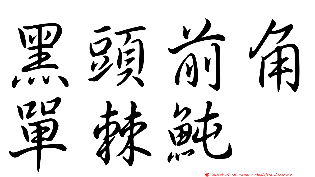黑頭前角單棘魨