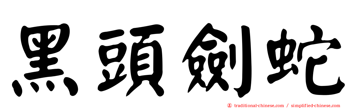 黑頭劍蛇