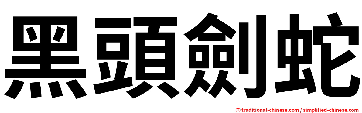 黑頭劍蛇