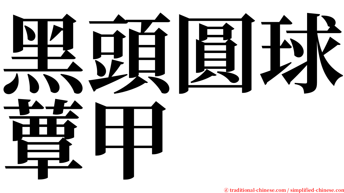 黑頭圓球蕈甲 serif font