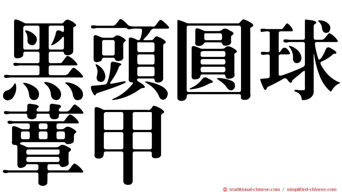 黑頭圓球蕈甲