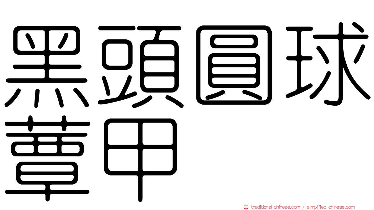 黑頭圓球蕈甲
