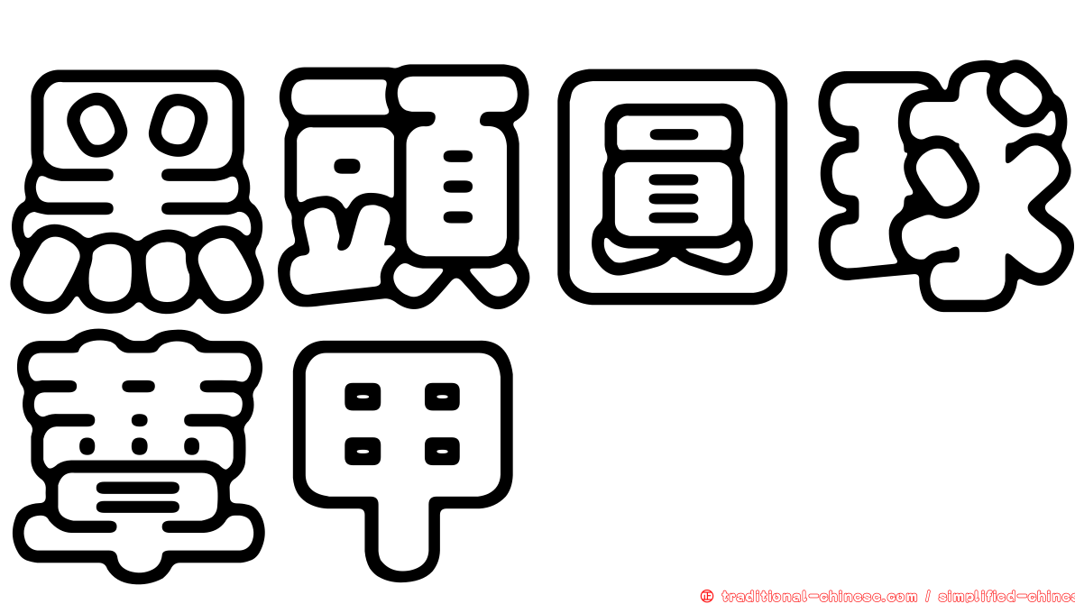黑頭圓球蕈甲