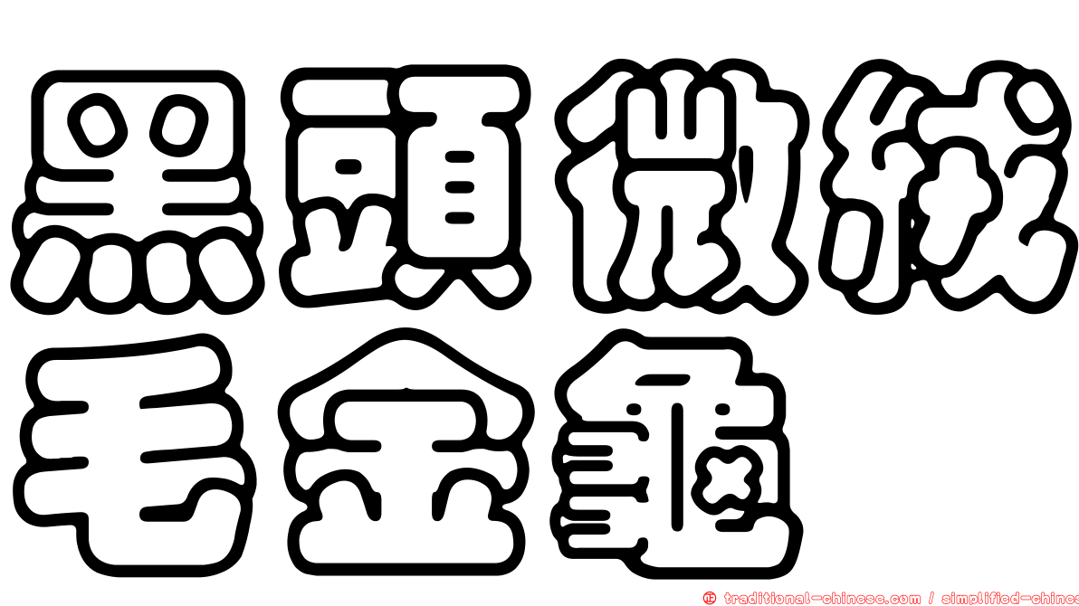 黑頭微絨毛金龜