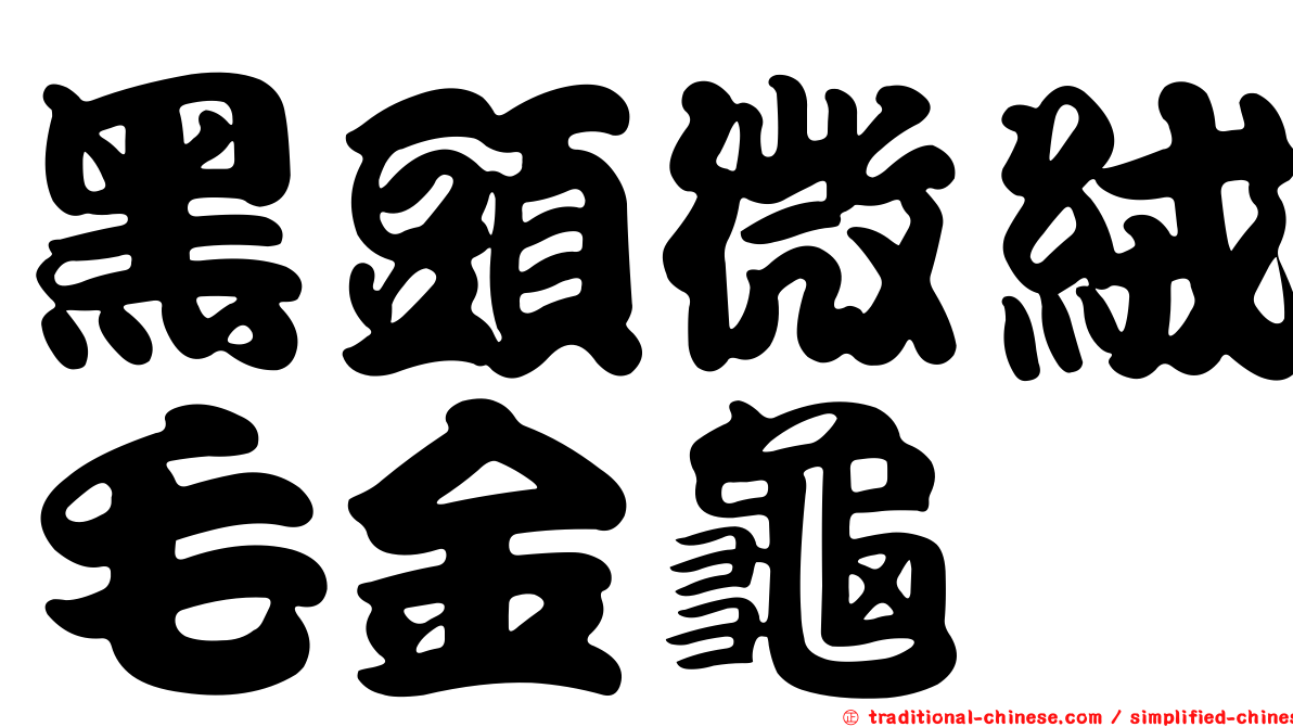 黑頭微絨毛金龜