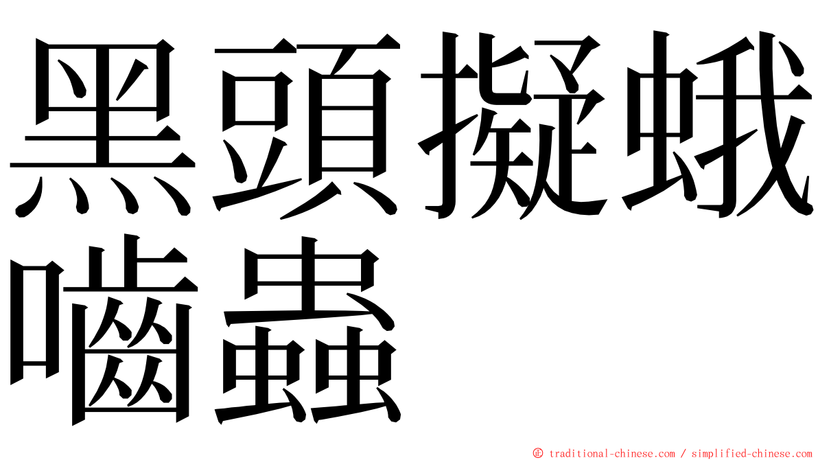 黑頭擬蛾嚙蟲 ming font