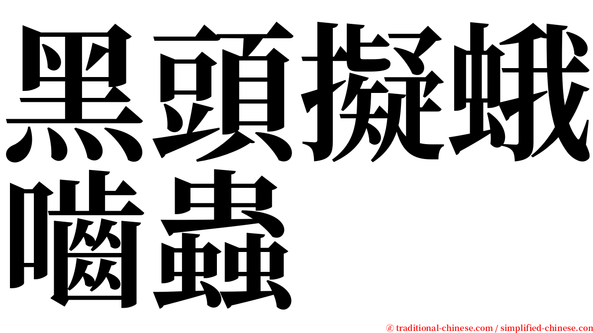 黑頭擬蛾嚙蟲 serif font