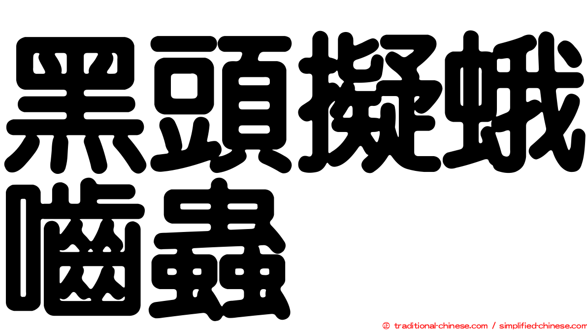 黑頭擬蛾嚙蟲