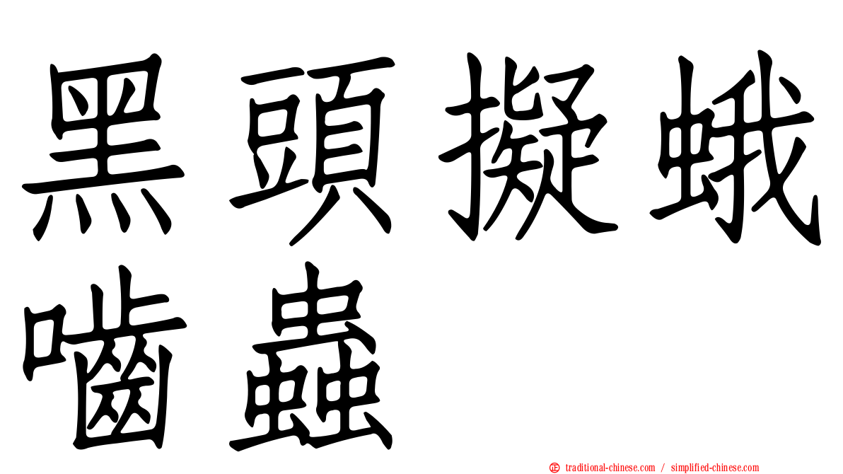 黑頭擬蛾嚙蟲