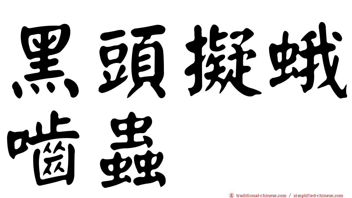 黑頭擬蛾嚙蟲