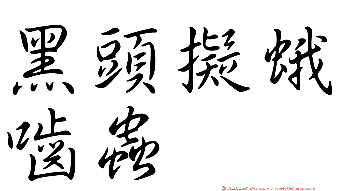 黑頭擬蛾嚙蟲