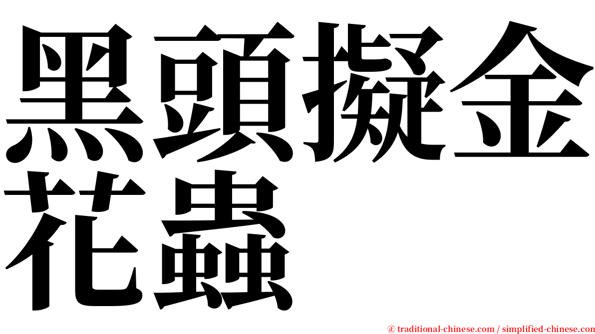 黑頭擬金花蟲 serif font