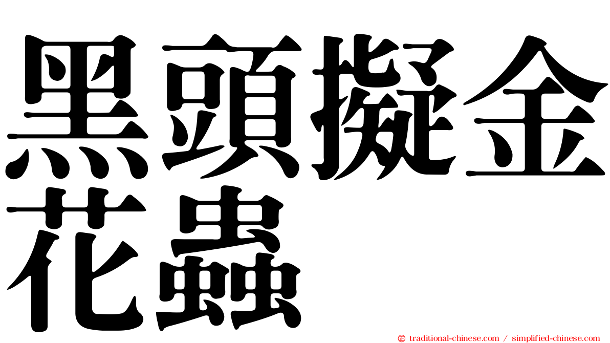 黑頭擬金花蟲