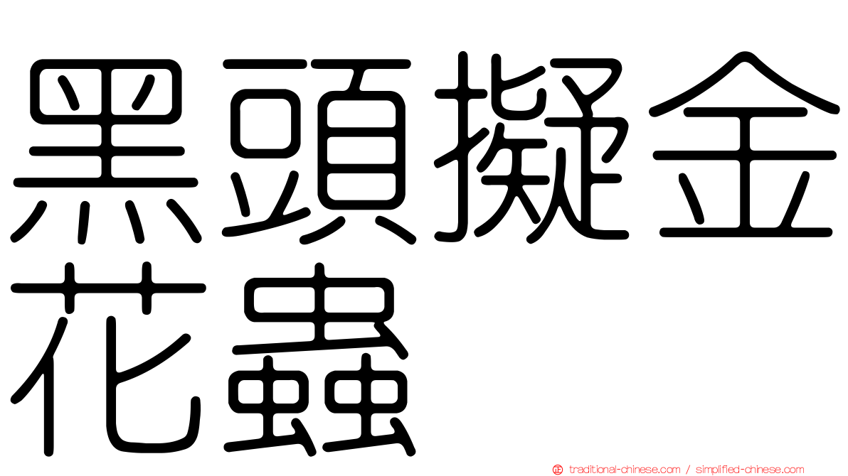 黑頭擬金花蟲
