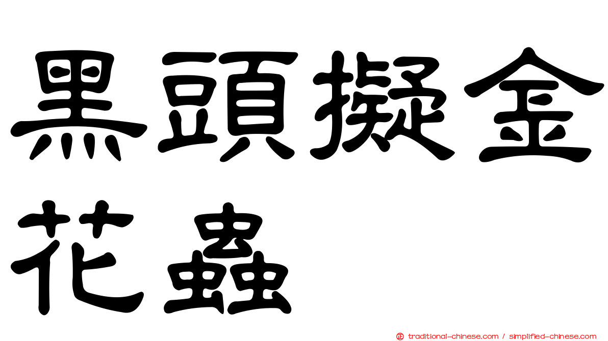 黑頭擬金花蟲