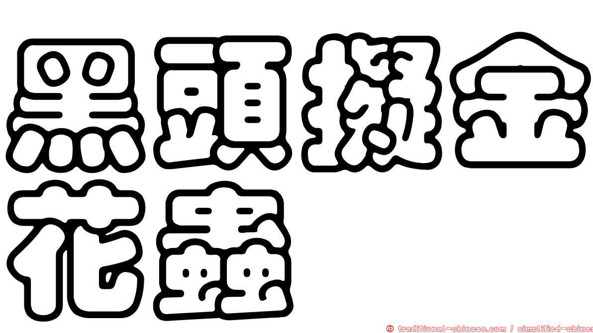 黑頭擬金花蟲